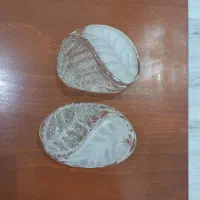 کریستال برگی شکل لوستر|لوستر و چراغ آویز|تهران, سهروردی|دیوار