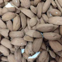 مغز بادام تلخ و گردو و تخم یونجه