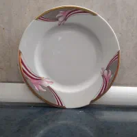 تعدادی ظروف چینی دو دیس ارکوپال|ظروف سرو و پذیرایی|اصفهان, کنگاز|دیوار