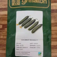 انواع بزر کاشتنی درجه یک