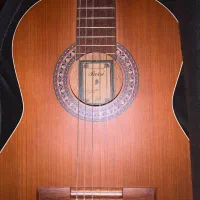 گیتار پارسی m5