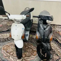 پا کشتی درحد خشک قیمت دانه ۹۰ تومان