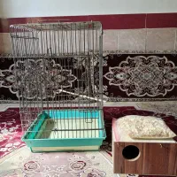 قفس|لوازم جانبی حیوانات|سبزوار, شرق کال عیدگاه|دیوار