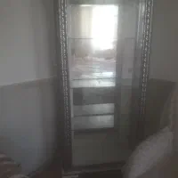 ۲‌تا‌کاکتوس‌و‌موسی