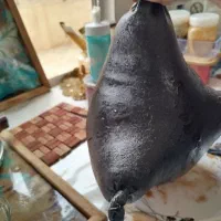 هیزه بدون ایراد