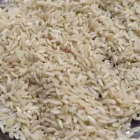 برنج چمپا چیتاب  خوش عطر ،دیروز بردیم برنجکوبی