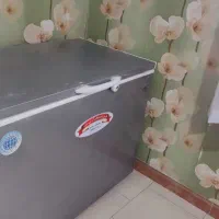 فریزر صندوقی