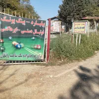 به چند شاگرد کافه نیازمندیم