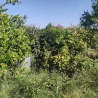 سرمایه‌گذاری در احداث محل تفریحی خدماتی و گردشگری