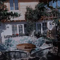 اجاره کلبه جنگلی روزانه