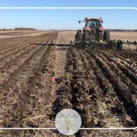 اجاره زمین ۱۳هزار متر میاندوآب قجلو