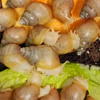 حلزون آلبینو