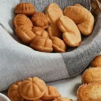 شاطرشبکارفتیرپزی