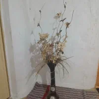 گل گلدان باهم نو سالم