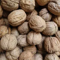 گردو دلی رچ درجه یک بشرط