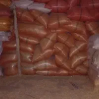 50خارال سامان|حیوانات مزرعه|حلب, |دیوار