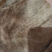 جنس پشمی|لباس|بروجرد, |دیوار