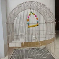 قفس پرنده