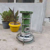 والور عالی نسب