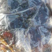 خرما کبکاب درجه یک پاک کرده