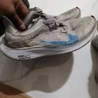 کفش در حدنو|کیف، کفش، کمربند|گرگان, |دیوار