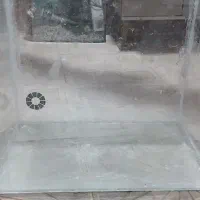 اکواریم