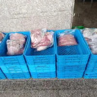 انواع قطعه بندی بوقلمون زنجان