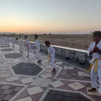 آموزش حرفه ای کاراته آزاد(کیوکوشین)