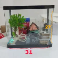 آکواریوم شیشه خم با وسایل