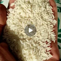 فروش برنج امساله طارم خالص درجه یک میدان کشاورز|خوردنی و آشامیدنی|سمنان, |دیوار