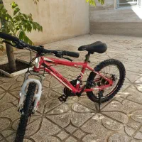 دوچرخه 20 فلش