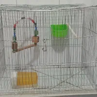 قفس با وسایل|لوازم جانبی حیوانات|پاکدشت, پاکدشت (مامازند)|دیوار