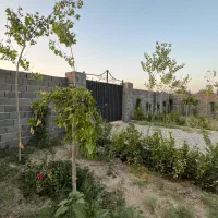۳۰۰ متر باغچه داخل بافت سند تک برگ جواز ساخت|فروش زمین و ملک کلنگی|هشتگرد, تهران دشت|دیوار