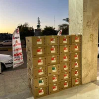 آبگرمکن فن دار بوتان 4318|آبگرمکن، پکیج، شوفاژ|جم, |دیوار