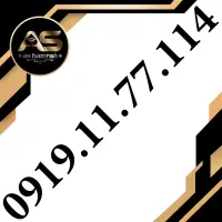 0919.119.116.7