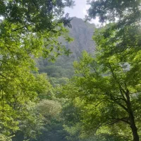 فروش-زمین-مسکونی-بر-سی-متری-مقداد