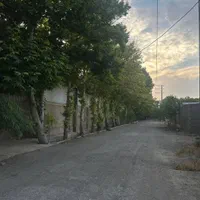 باغ ۷۲۰متری/سند۶دانگ/مناسب ساخت/خیابان پدم|فروش خانه و ویلا|محمدشهر, همایون ویلا|دیوار