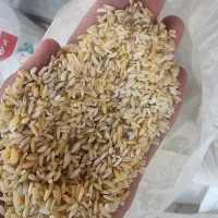 برنج زرده نم گرفته تو پخت سفید میشه عنبربو|خوردنی و آشامیدنی|اهواز, حصیرآباد|دیوار