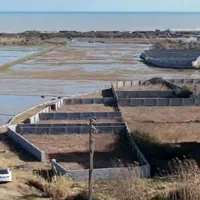 ۵۰۰متر پلاک اول جاده اصلی