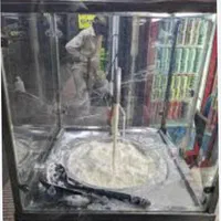 دوغ سنتی درجه ۱