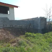 زمین ۲۸۰ متری|فروش زمین و ملک کلنگی|امامزاده عبدالله, |دیوار