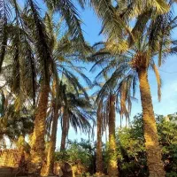 اقامتگاه بومگردی|اجارهٔ کوتاهمدت آپارتمان و سوئیت|فهرج, |دیوار