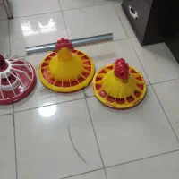 کارگر خانواده اتباع جهت کار در مرغداری