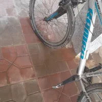 دوچرخه ی ۲۶|دوچرخه، اسکیت، اسکوتر|بهار, |دیوار