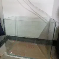 اکواریوم شیشه خم|ماهی|شیراز, لشکری‎|دیوار