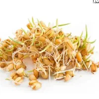 جوانه گندم برای پری صورت