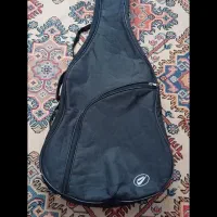 کیف گیتار