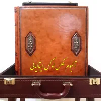 آلبوم عکس لاکچری ایتالیائی مدل تاج (نو)|کلکسیون و سرگرمی|تهران, حکیمیه|دیوار