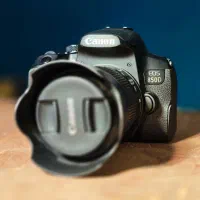 دوربین کنون 850d/فیلمبرداری/عکسبرداری|دوربین عکاسی و فیلمبرداری|مشهد, آپارتمان های مرتفع|دیوار