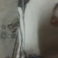 قوری چینی نونو پلمپ جادستمال کاغذی